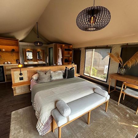 Addo Elephant Safari Lodge - Bellevue Forest Reserve Paterson Exterior photo