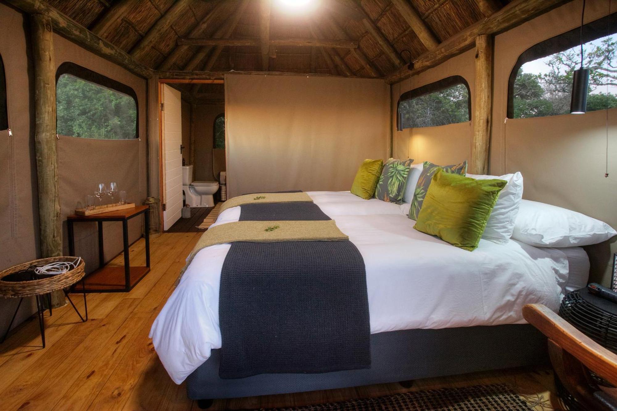 Addo Elephant Safari Lodge - Bellevue Forest Reserve Paterson Exterior photo