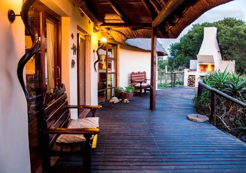 Addo Elephant Safari Lodge - Bellevue Forest Reserve Paterson Exterior photo