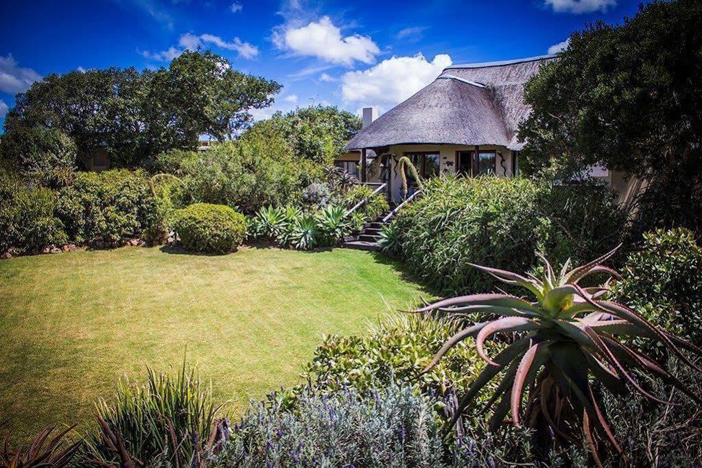Addo Elephant Safari Lodge - Bellevue Forest Reserve Paterson Exterior photo