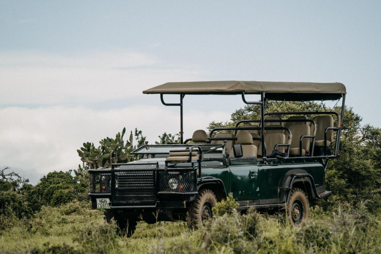 Addo Elephant Safari Lodge - Bellevue Forest Reserve Paterson Exterior photo